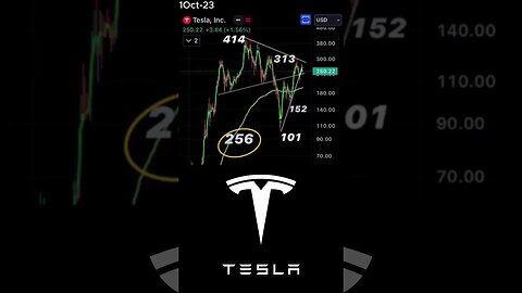 Tesla Stock Volatility: Is $256 the Turning Point? October 1, 2023 #shorts