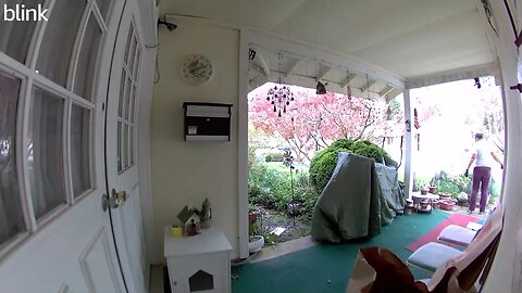 NORTH_VIDEO_DOOR_BELL_2023-04-06T11_03_46-0400.mp4