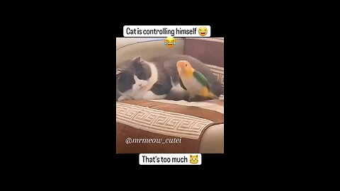 🤣