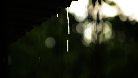 Raindrops Falling On A Tin Roof