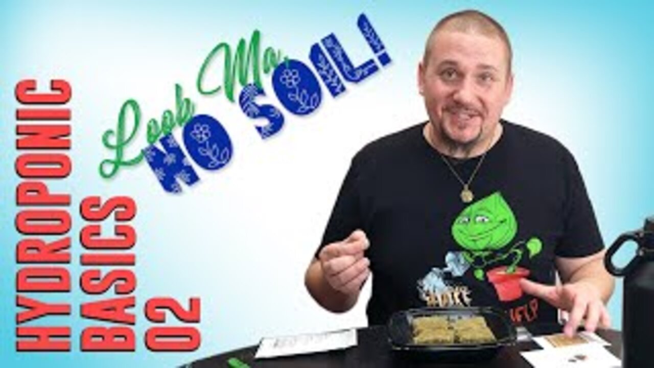 Planting and Containers - Look Ma No Soil Episode 2