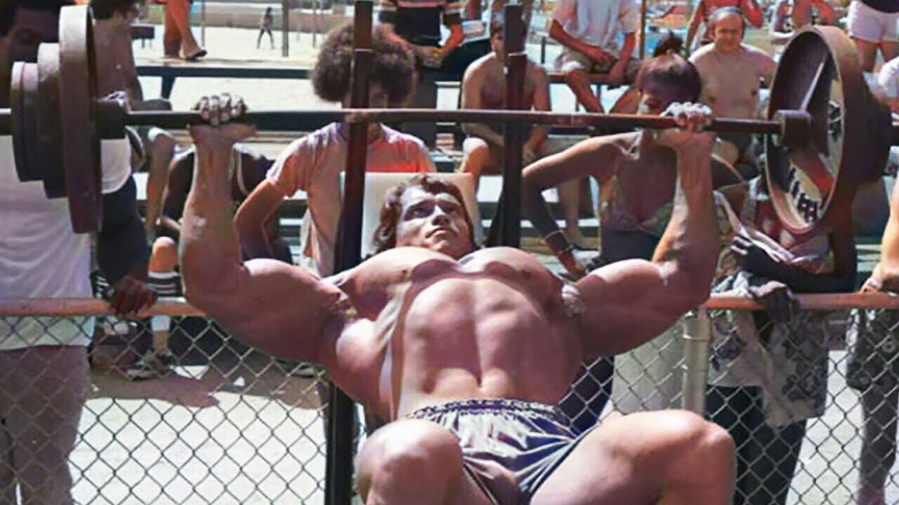 Arnold schwarzenegger pecs new arrivals