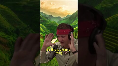 The Vietnamese language is so difficult - Joe Rogan and Sonny