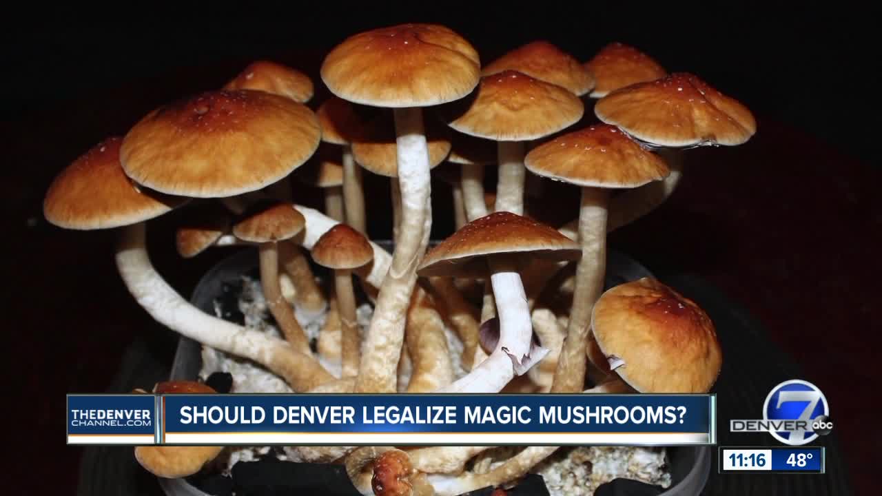 Denver psychedelic mushroom decriminalization proponents to find out if measure makes ballot