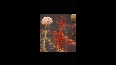 Medical video
