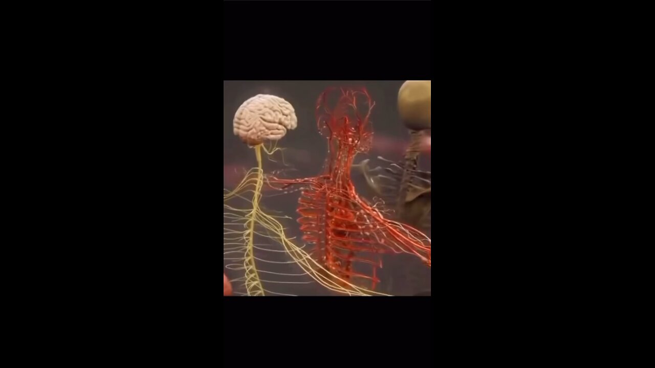 Medical video