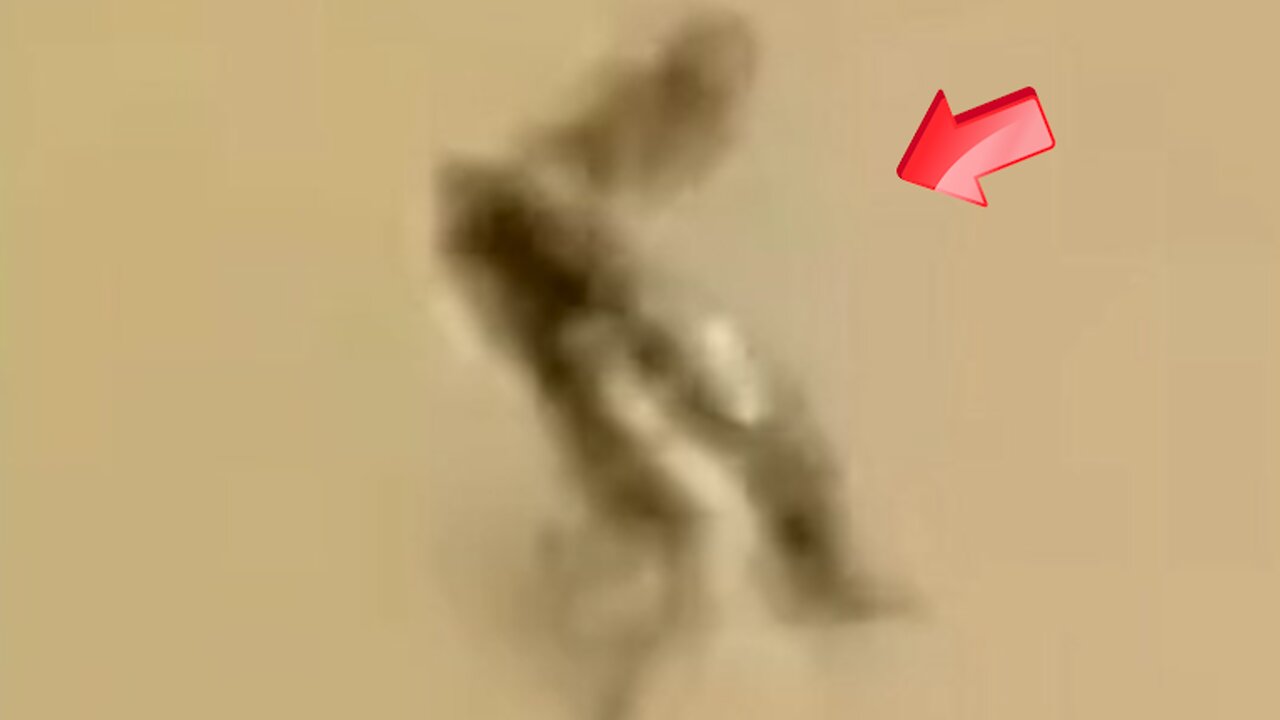 Is the mysterious creature that emerged from the forest a space alien?