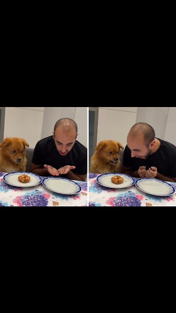 Don't touch my Doughnut