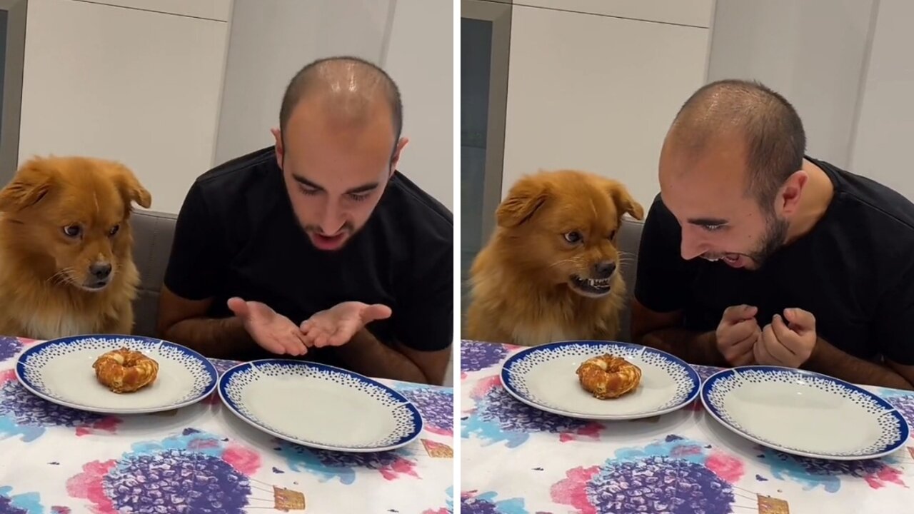 Don't touch my Doughnut