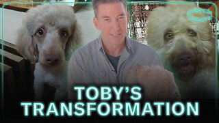 System Pupdate: How Toby Survived Near Death & Became So Affectionate