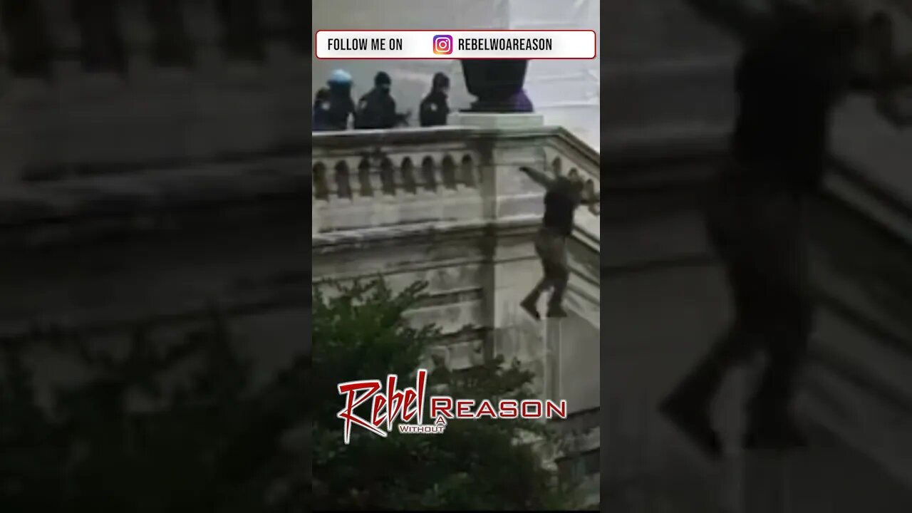 Capitol Police push man off 30 ft ledge