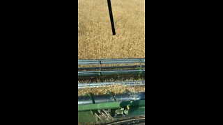So god made a farmer