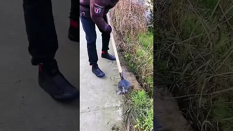 Cleaning the community roads