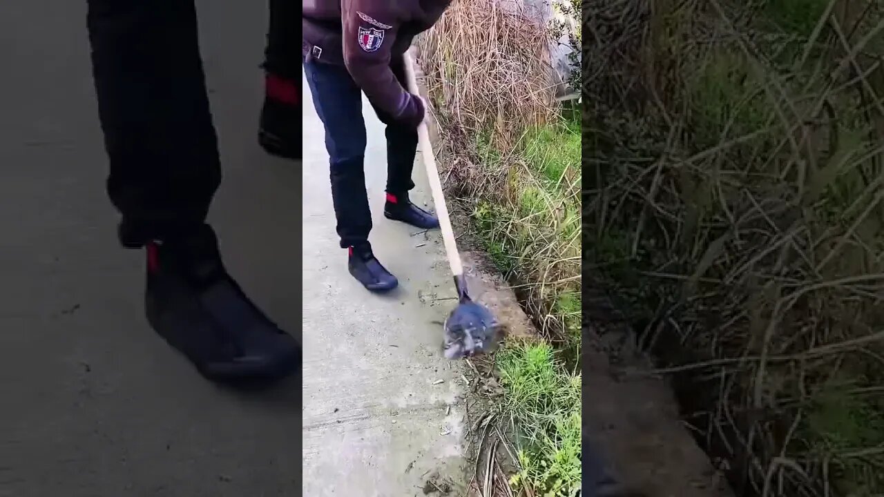 Cleaning the community roads