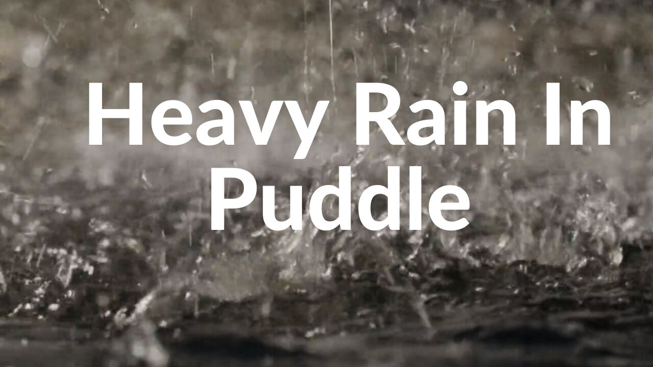 99% Of You Will Fall Asleep Immediately To These Rain Sounds Heavy Rain In A Puddle