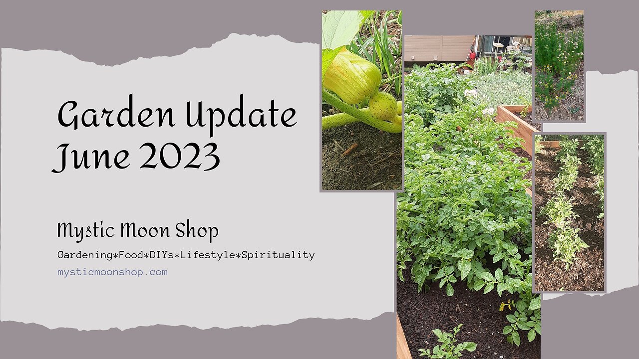 Garden Update June 2023 Grow Your Own Food