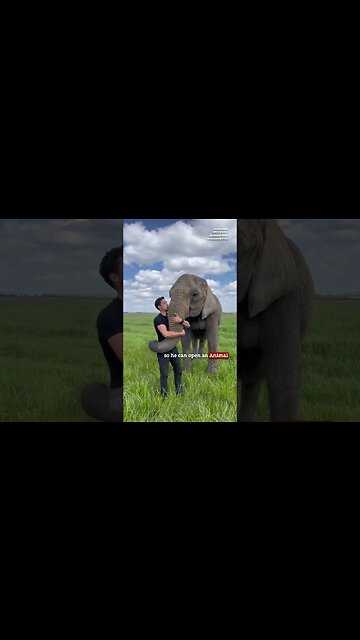 Meet the Elephant Boy