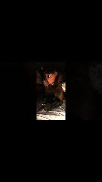 Y’all dads snoring 😴 excuse him! Hims works so hard #Shorts