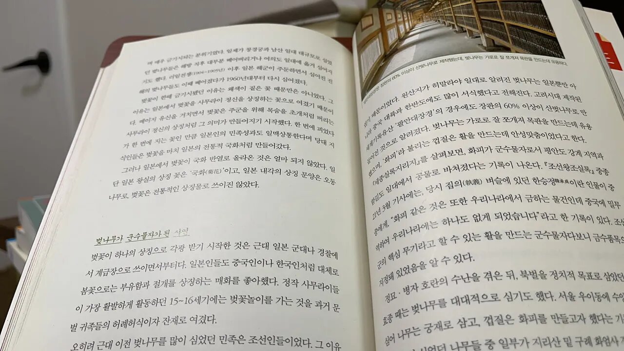 미술관에서만난 전쟁사 이현우 벚꽃 계급장 매화 사무라이 조선인 세종실록지리지 핵심무기 화피 팔만대장경 산벚나무 병다호란 우이동 구례 화엄사