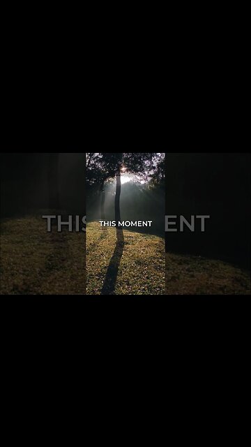 Listen to full meditations at Women's meditation network channel #meditation #sleep #shorts