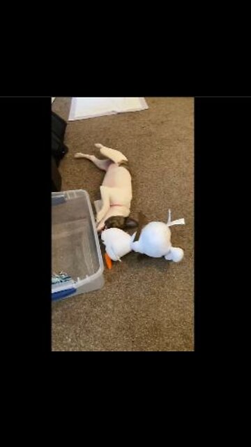 Princess are you supposed to be playing with Olaf?