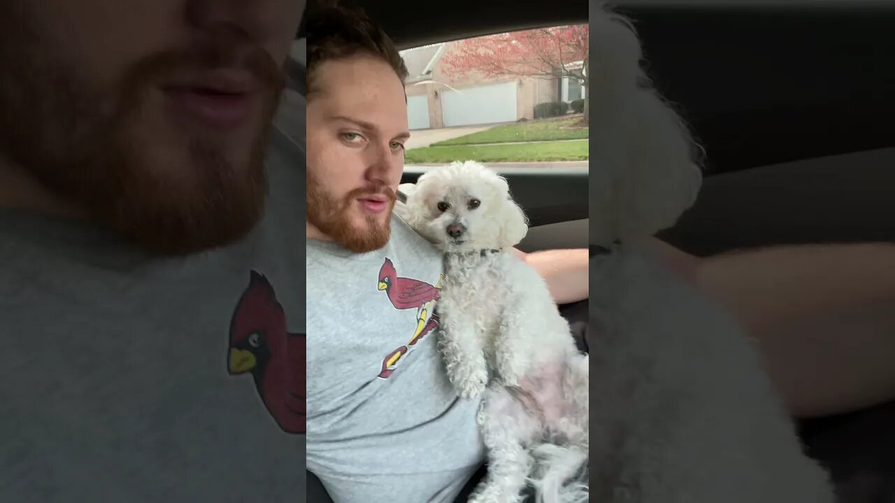 He went from 🥳 to 😢 real quick