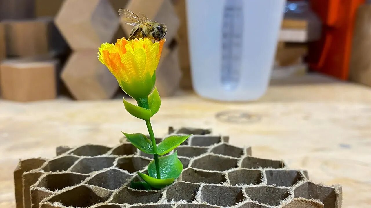 Turning a Death bee 🐝