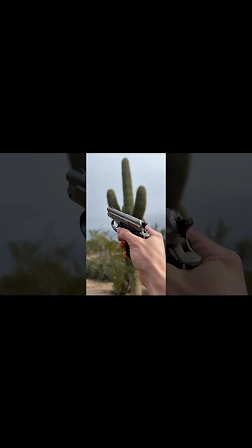 Beretta .22 Pocket Pistol Silver - 21A Bobcat Inox Tip-Barrel #subscribe #concealedcarry