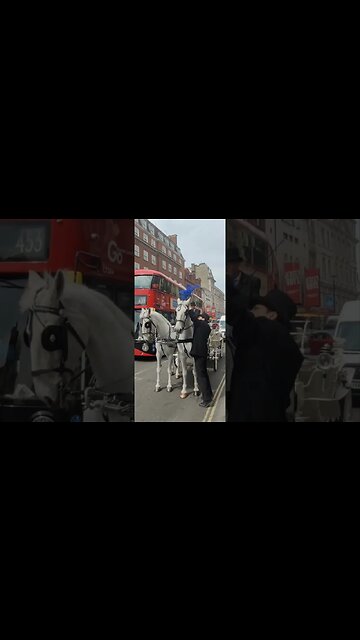 White horses and carriage #horseguardsparade