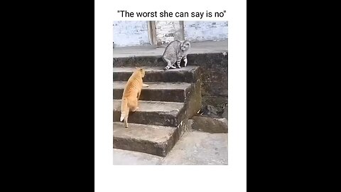 The worst can say no 🤣