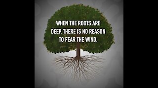Roots Deep Fear Wind [GMG Originals]