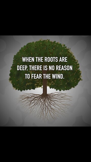 Roots Deep Fear Wind [GMG Originals]