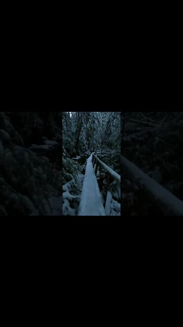 RELAXING MUSIC/DEEP SLEEP MUSIC/autumn ambience music #shorts