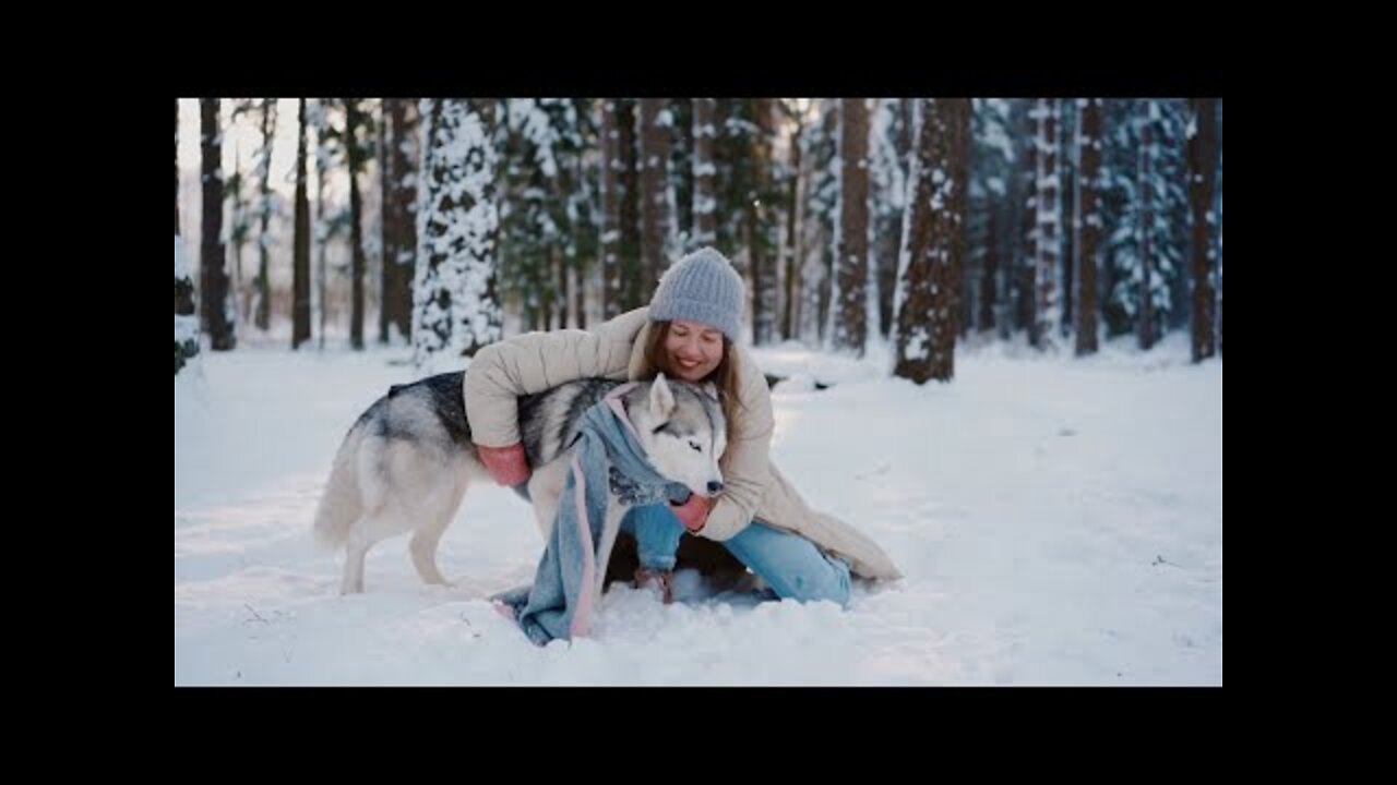 Cute Baby Dog With Lovely Couple