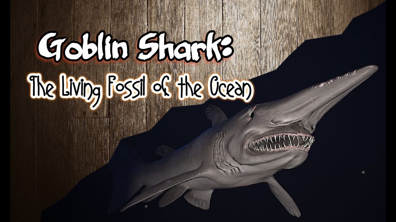 Goblin Shark: The Living Fossil of the Ocean