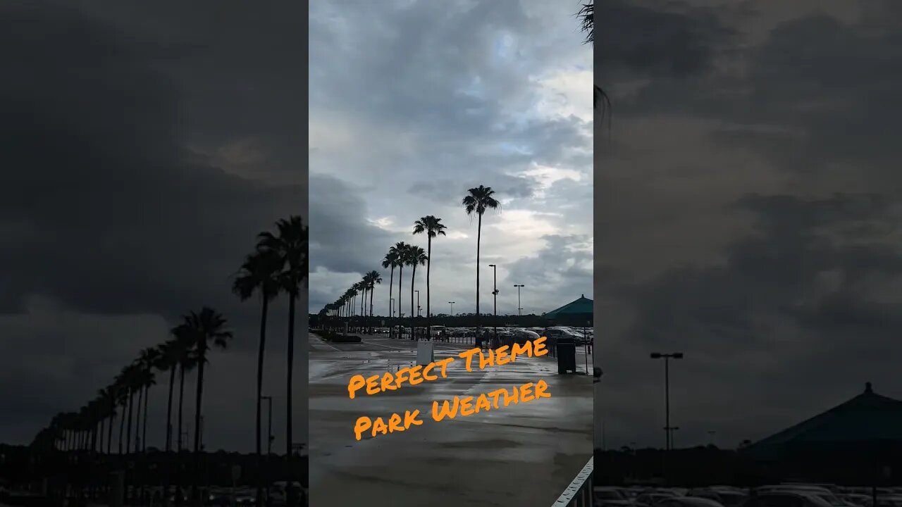 This Is Perfect Theme Park Weather