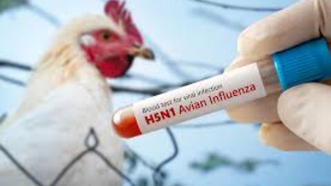 Psyop Fear US California Declares Emergency for the first Severe case of Bird Flu H5N1