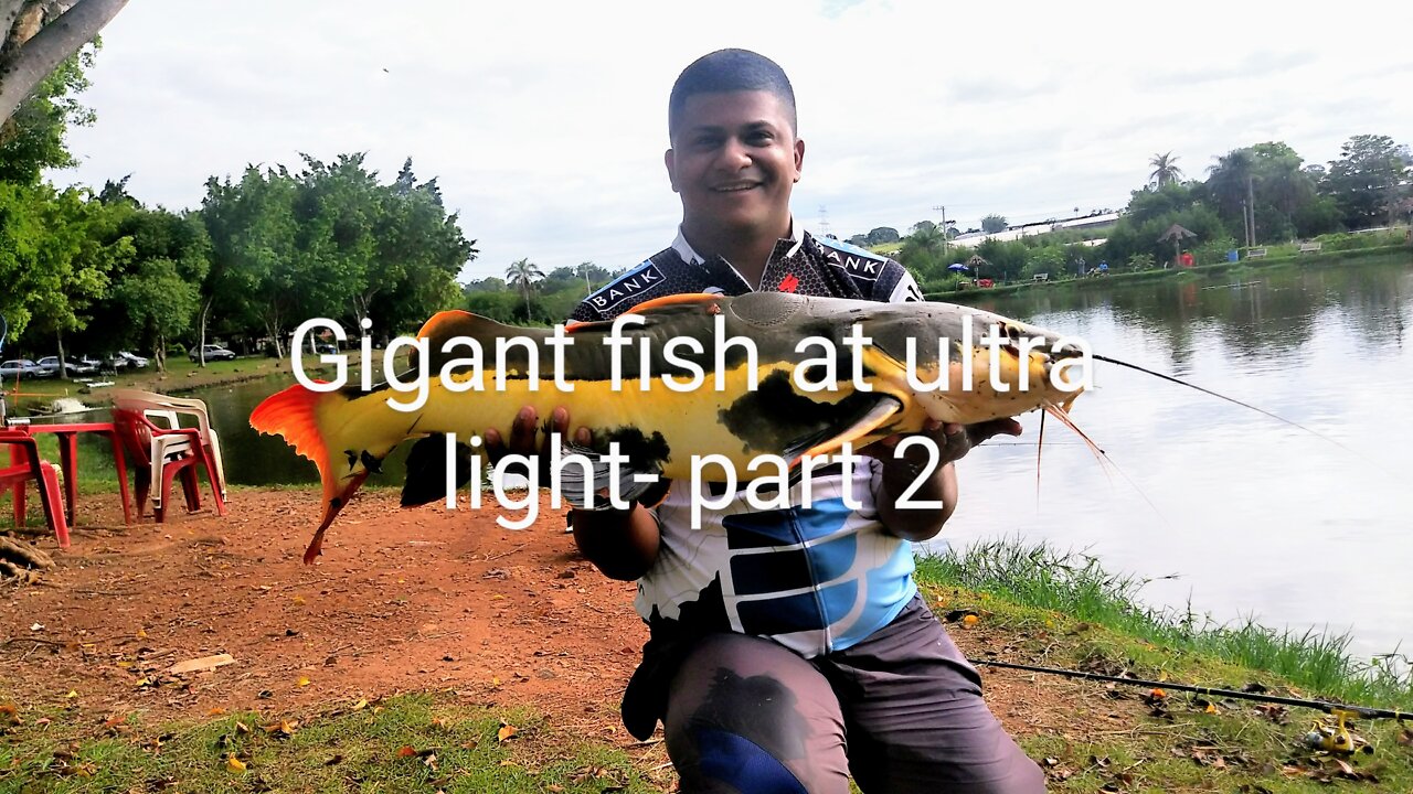 Gigant fish at ultra light- part 2/2