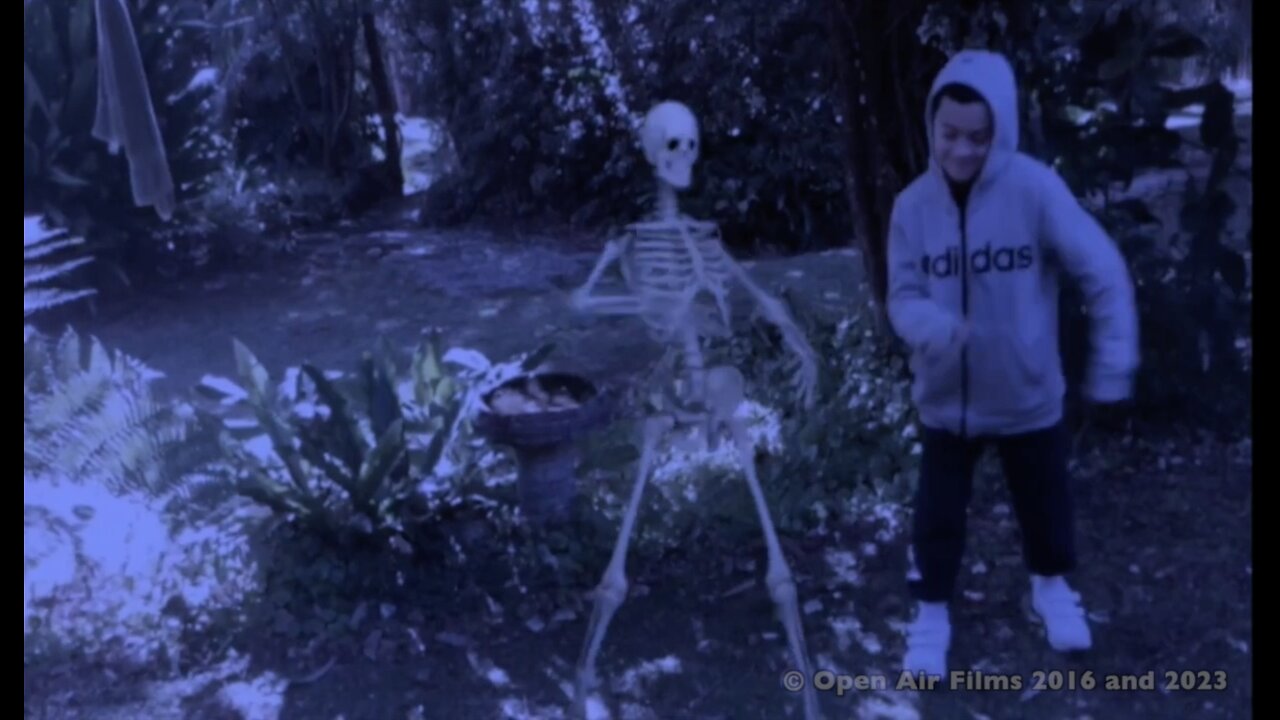 GHOSTLY SKELETONS DANCE