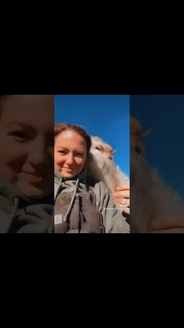 For those that ALWAYS ALWAYS ALWAYS #Shorts