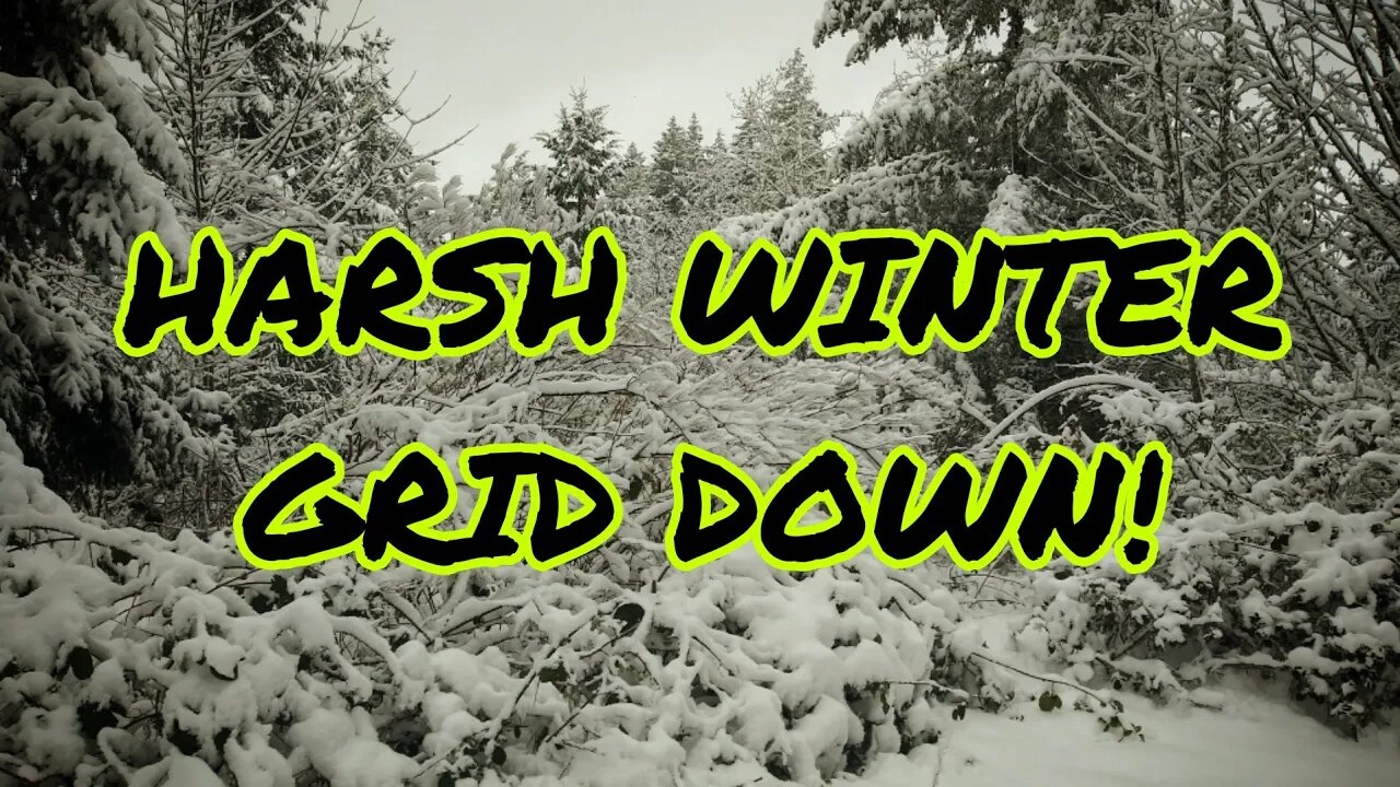 Harsh Winter, Grid Down! What To Do!