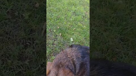 Getting The Fire Ready