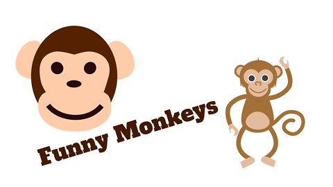 Funny Monkeys