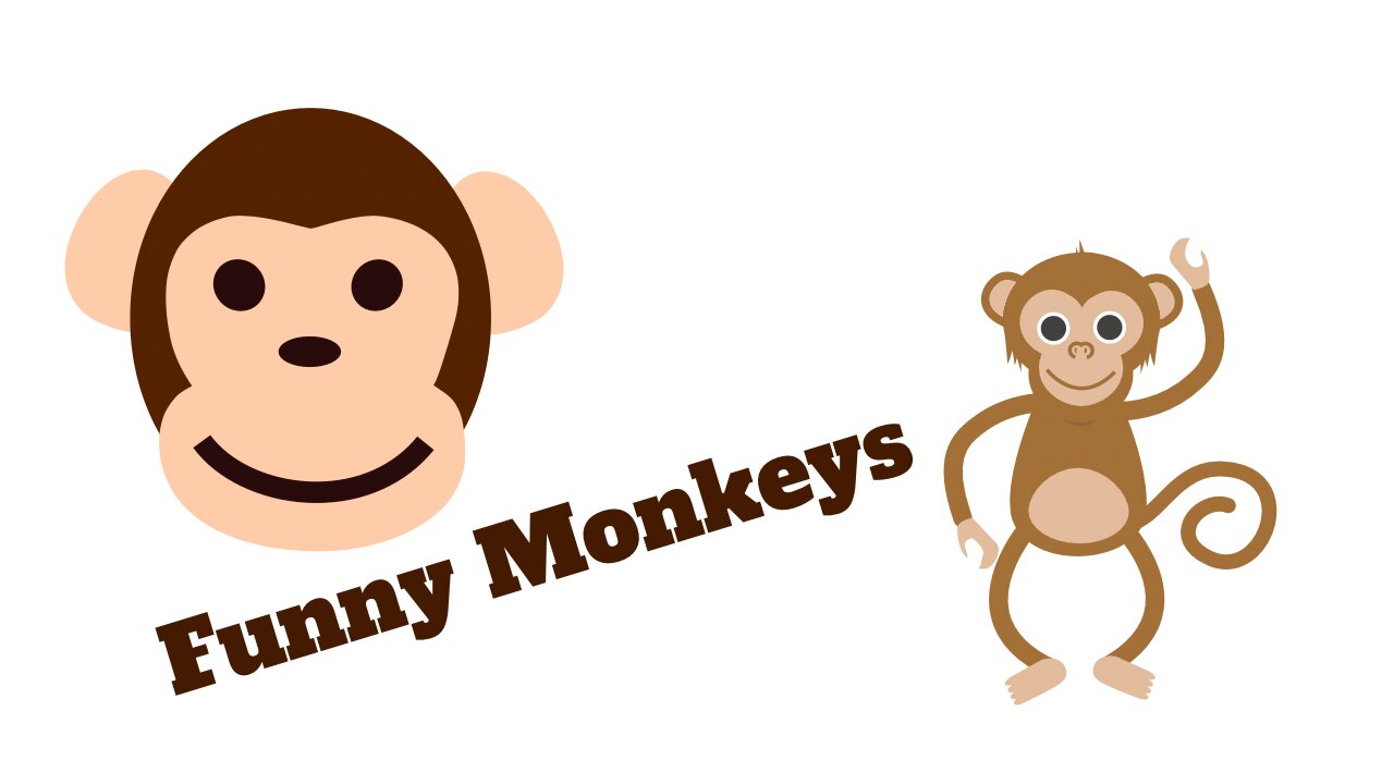 Funny Monkeys