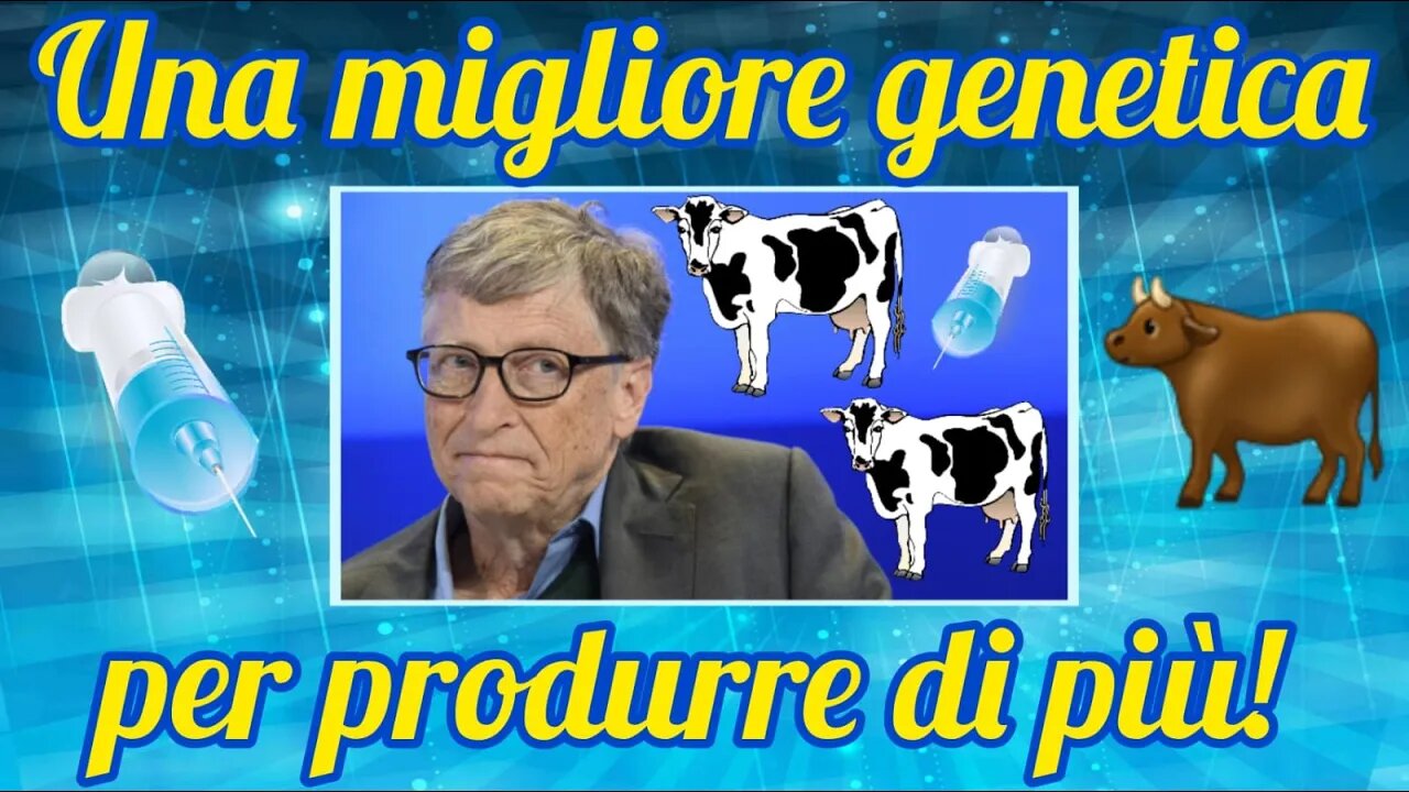 Bill Gates sta vaccinando il bestiame in Scozia!