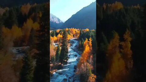 Beautiful autumn in the mountains!!! / nature #Nashvi #shorts