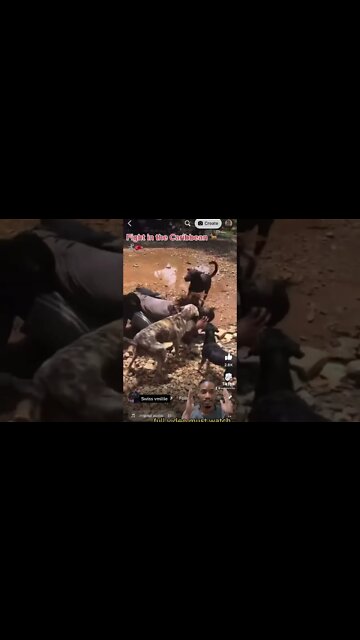 VERY explicit ⚠️Sad situation with dogs and owner 😢🤕 🆚guy #dog #shorts #animallife matters !