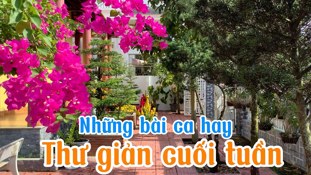 The songs: Tuổi học trò & Hoa nở về đêm.