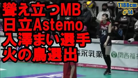 【V1,日立Astemo】聳え立つMB入澤まい選手3年振り火の鳥NIPPON選出