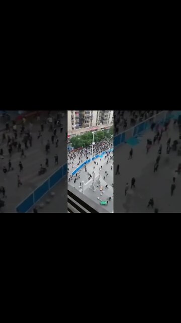 28 de novembro de 2022